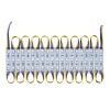 LED Storefront Lights for Business Store Window Advertising