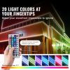 LED Storefront Lights for Business Store Window Advertising